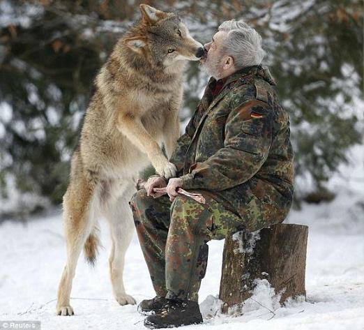 الرجل الذئب: أربعون عاماً في وكر الذئاب Homme-loup-werner-freund-13